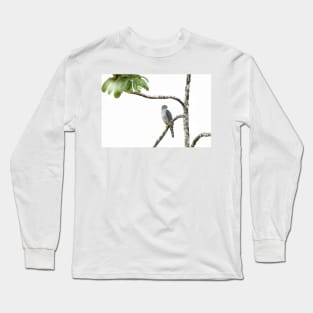 Bicolored Hawk - Costa Rica Long Sleeve T-Shirt